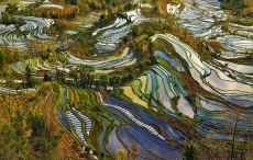 Di sản ruộng bậc thang Trung Quốc hớp hồn nhiếp ảnh gia Pháp