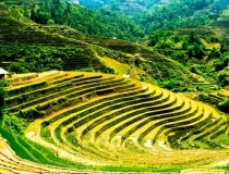 言葉を失うほど美しい、四季折々の「ベトナム棚田絶景」