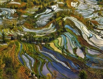 Di sản ruộng bậc thang Trung Quốc hớp hồn nhiếp ảnh gia Pháp