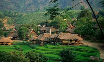 Hoa Binh