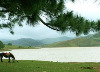 Hồ Chí Minh - Đà Lạt