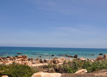 Hồ Chí Minh - Phan Thiết