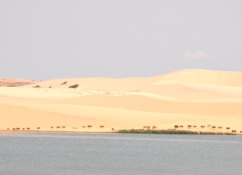 HÀ NỘI - TPHCM - VŨNG TÀU - MŨI NÉ