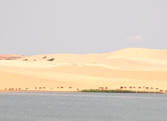 HÀ NỘI - TPHCM - VŨNG TÀU - MŨI NÉ