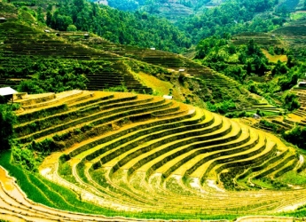 HÀ NỘI - SAPA 3 NGÀY 2 ĐÊM