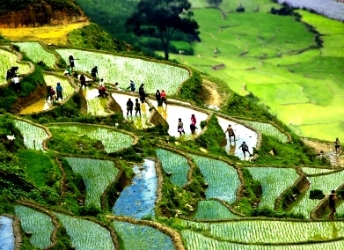 SAPA TREKKING TOUR