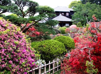 Tokyo – Hakone – Kawaguchi – Fuji – Yokohama 5 Ngày 4 Đêm