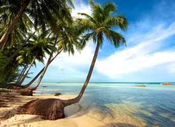 Hanoi - Halong - Phu Quoc