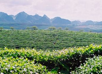 Hanoi - Halong - Ninh Binh - Son La - Tuan Giao - Dien Bien - Lai chau - Tam Duong - Sapa - Hanoi