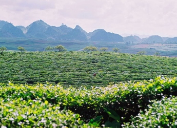 Hanoi - Halong - Ninh Binh - Son La - Tuan Giao - Dien Bien - Lai chau - Tam Duong - Sapa - Hanoi