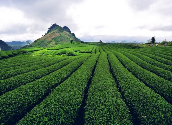 Biking: Hanoi - Son La -Tuan Giao - Dien Bien - Lai Chau - Sapa - Hanoi