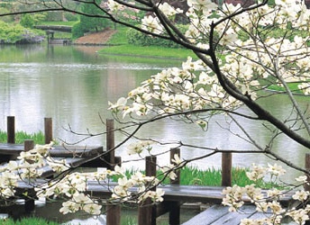 NAGOYA - OSAKA - KYOTO - TOYOHASHI - KAWAGUCHI - TOKYO 6D5N