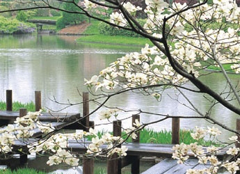 NAGOYA - OSAKA - KYOTO - TOYOHASHI - KAWAGUCHI - TOKYO 6D5N