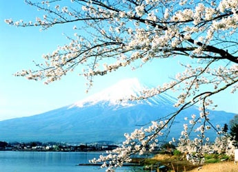 Việt Nam - Nhật Bản