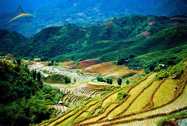 Tour du lịch Sapa – Cát Cát – Hàm Rồng – Thác Bạc – Fansipan