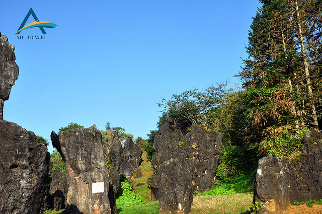Tour du lịch Sapa – Cát Cát – Hàm Rồng – Thác Bạc – Fansipan