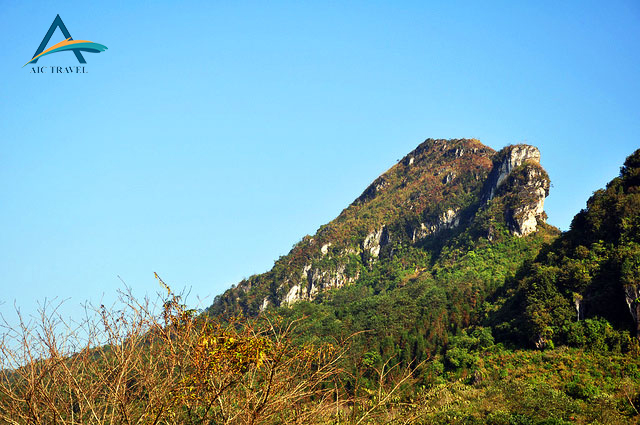 Tour du lịch Sapa – Cát Cát – Hàm Rồng – Thác Bạc – Fansipan