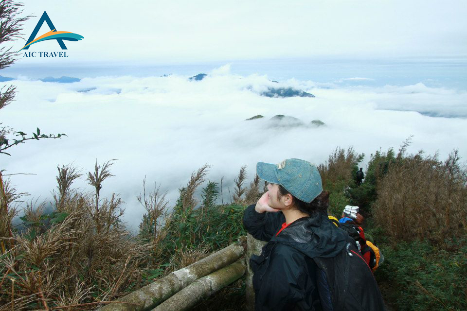 Tour du lịch Sapa – Cát Cát – Hàm Rồng – Thác Bạc – Fansipan