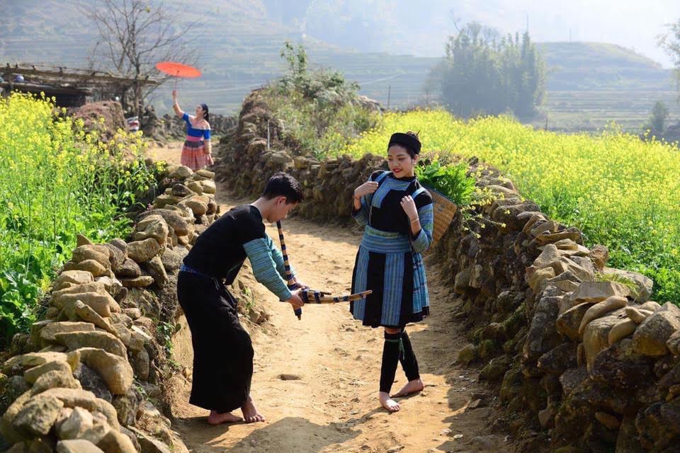 canh dong hoa cai vang thu hut du khach den sapa