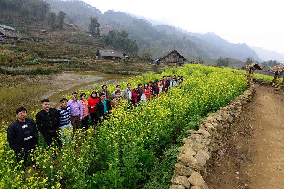 canh dong hoa cai vang thu hut khach du lich sapa